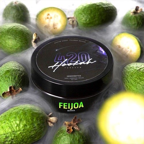 Табак для кальяна 420 100g (Feijoa) Фейхоа
