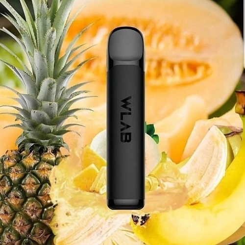 Одноразовая электронная сигарета WLAB Mini 300 Puffs