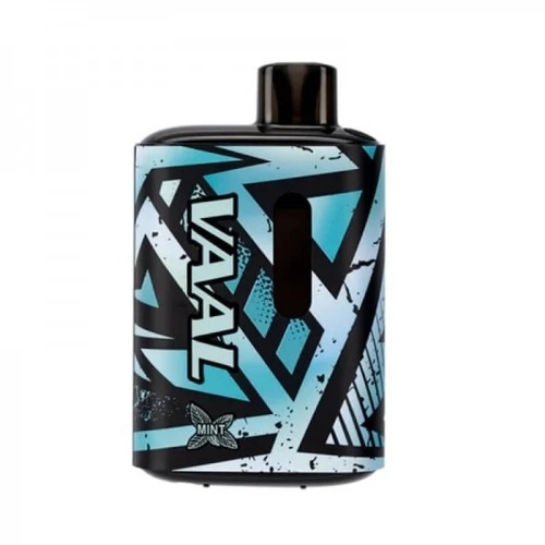 Joyetech VAAL E5000 - 5000 Puffs Joyetech VAAL E5000 - 5000 Puffs