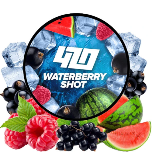 Табак для кальяну 420 Frost Line 100g (Waterberry Shot)
