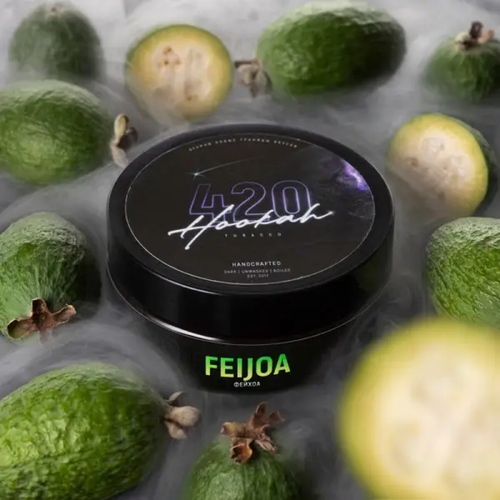 Табак для кальяну 420 40g (Feijoa)