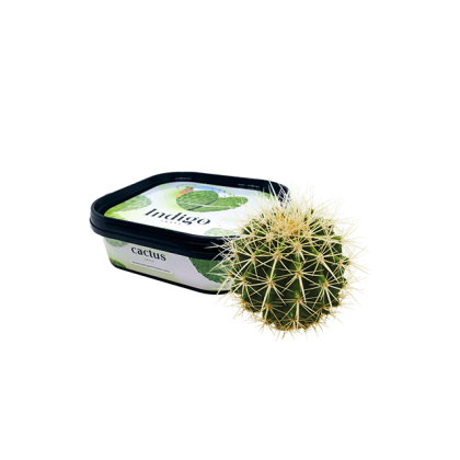 Кальянная чайная смесь Indigo 100g (Cactus)