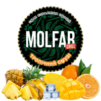 Molfar Chill Line 40g (Смузі)