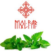 Molfar Virginia Line 100g (Ярко Мелисса)