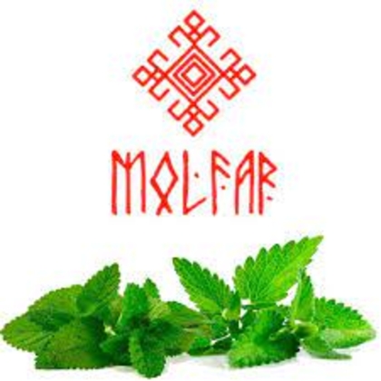 Molfar Virginia Line 100g (Ярко Мелисса)