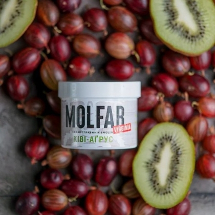 Molfar Virginia Line 100g (Киви Крыжовник)