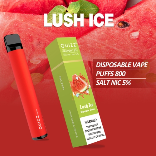 Одноразовая электронная сигарета Quizz 800 Puffs